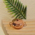 thumbnail image 7 of Tnobhg Cooking Soup Pot Model Realistic Miniature Dollhouse Cookware Exquisite Soup Pot Ornament Dollhouse Decoration, 7 of 7