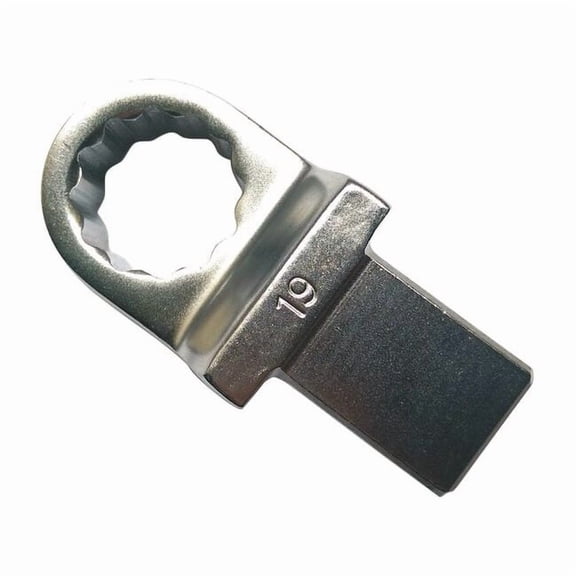 Westward Torque Wrench Head,Box End,19mm 19ZC87