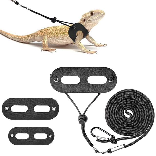 Visland 1 Set Lizard Traction Rope Adjustable Soft Comfortable Pet Lizard Traction Belt Reptile Harness Set Pet Supplies
