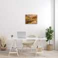 thumbnail image 2 of Stupell Industries Desert Foliage Landscape Southwestern Canyon Cliff Nature Photography Gallery Wrapped Canvas Print Wall Art, 16 x 20, 2 of 6