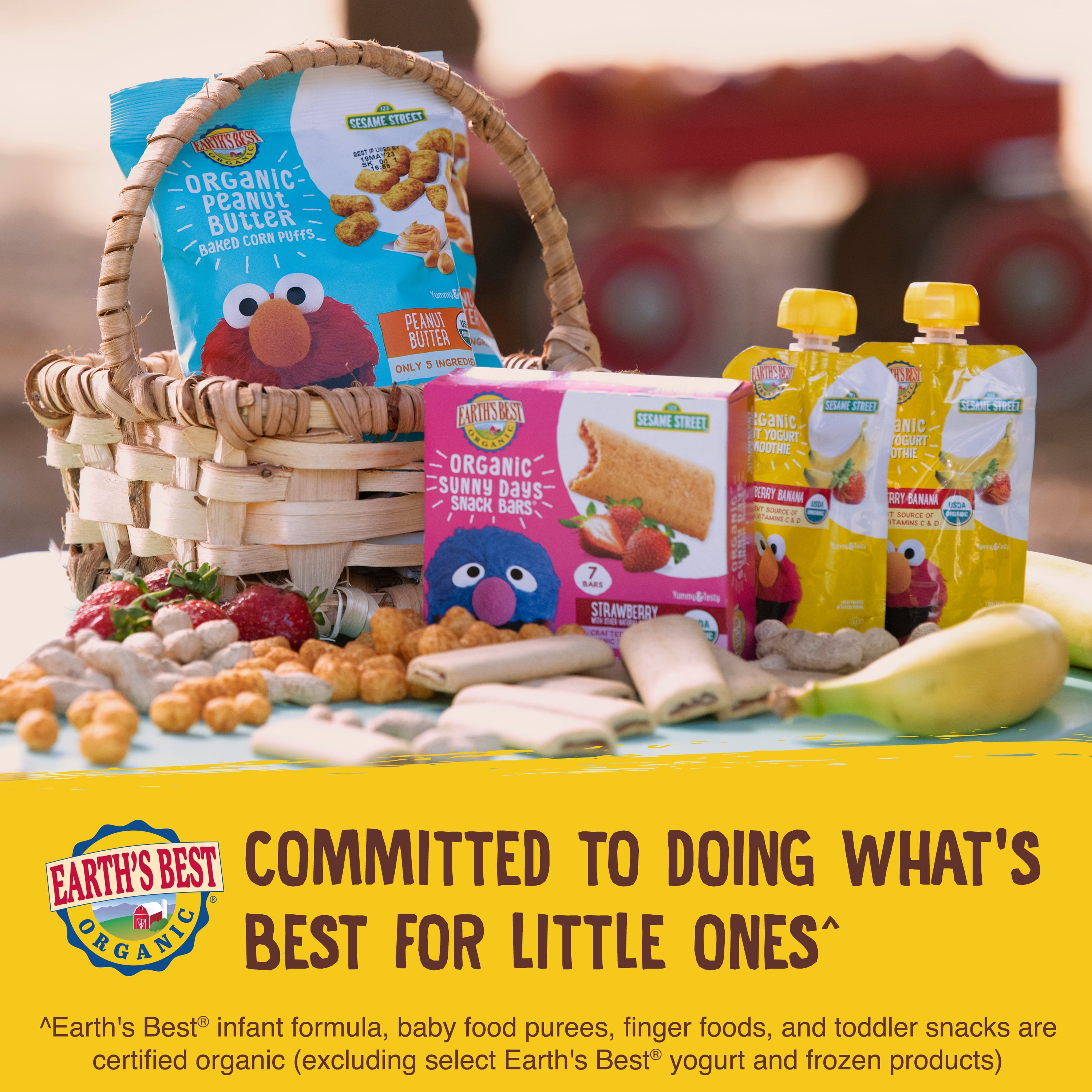 Earth's Best Organic Digestive Support Toddler Food, Banana Pumpkin Raisin Smoothie, 4 oz Pouch