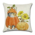 thumbnail image 1 of Housse de Coussin Citrouille d'Automne Housse de Coussin Décorative Halloween Action de Grâce, 18 x 18 Pouces, 2 Pcs Chat 2, 1 of 7