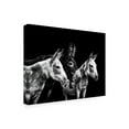 thumbnail image 2 of PHBurchett 'Donkey Portrait II' Canvas Art, 2 of 3