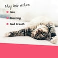 thumbnail image 6 of VetriScience Feline Probiotic Digestive Health Cats, Duck Flavor, 60 Chews, 6 of 9
