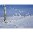 thumbnail image 2 of Grandmaison, Mike 32x24 White Modern Wood Framed Museum Art Print Titled - Canada, Manitoba, Dugald, hoarfrost and fence, 2 of 4