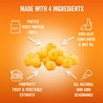 thumbnail image 2 of Savory Keto Protein Puffs (Baked Cheddar, 4-pck), 2 of 3
