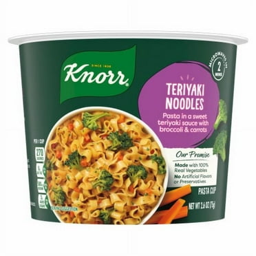 2X - Knorr Teriyaki Noodles Pasta Cup