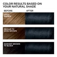 thumbnail image 5 of L'Oreal Paris Feria Multi-Faceted Shimmering Permanent Hair Color, 21 Starry Night, Pack of 2, Hair Dye, 5 of 5