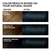 LOreal Paris Feria Multi-Faceted Shimmering Permanent Hair Color, 21 Starry Night, Hair Dye Kit, Pack of 2