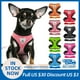 thumbnail image 2 of Dog Harness Leash For Small Medium Dog Cat Adjustable Mesh Puppy Harness Vest Walking Lead Leash For Puppy Dogs Collar Accessori qym unisex, 2 of 2