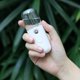 thumbnail image 5 of 30ml Mini Nano Facial Pulverizador Humidificador Cara Hidratante Vaporizador Nebulizador Universal  Accesorios Electrónicos, 5 of 9