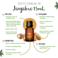 thumbnail image 5 of Aceite Esencial de Jengibre OLEUM VITAE 100% Puro y Organico 15ml, 5 of 5