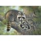 thumbnail image 1 of Taladro Diamond Painting (DE3235) 5D DIY Full Cute Animals Cross Stitch Craft Kit (13) 40x50cm Hugtrwg Para estrenar, 1 of 1