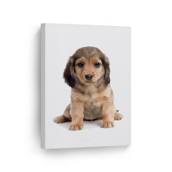 Smile Art Design Portrait of Cute Dachshund Dog Puppy Animal Canvas Wall Art Print Pet Owner Dog Lover Mom Dad Gift Office Living Room Bedroom Kids Baby Nursery Room Decor - 40x30