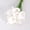 白色白心, variant on 10 pieces of artificial horseshoe lotus silk artificial flowers, 13.3 inches, suitable for Mother's Day, Easter, home kitchen, and weddings