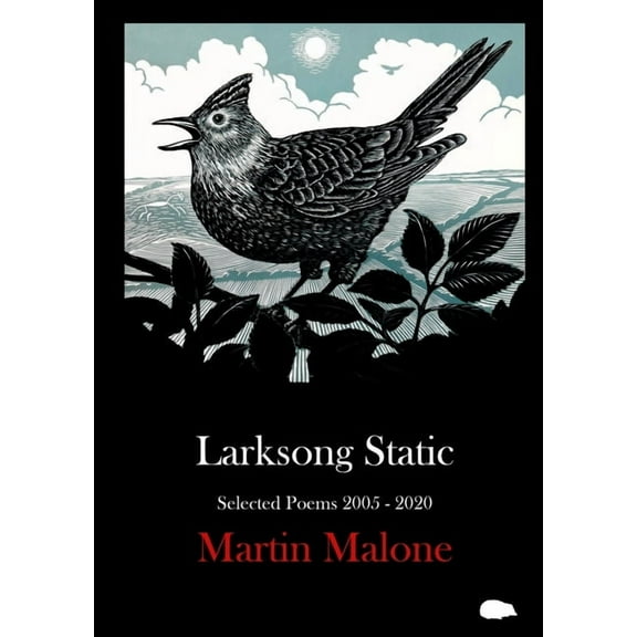 Larksong Static: Selected Poems 2005-2020, (Paperback)