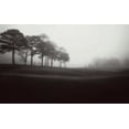 thumbnail image 2 of Cook, Jamie 32x21 Gold Ornate Wood Framed with Double Matting Museum Art Print Titled - Fog Tree Study III, 2 of 4