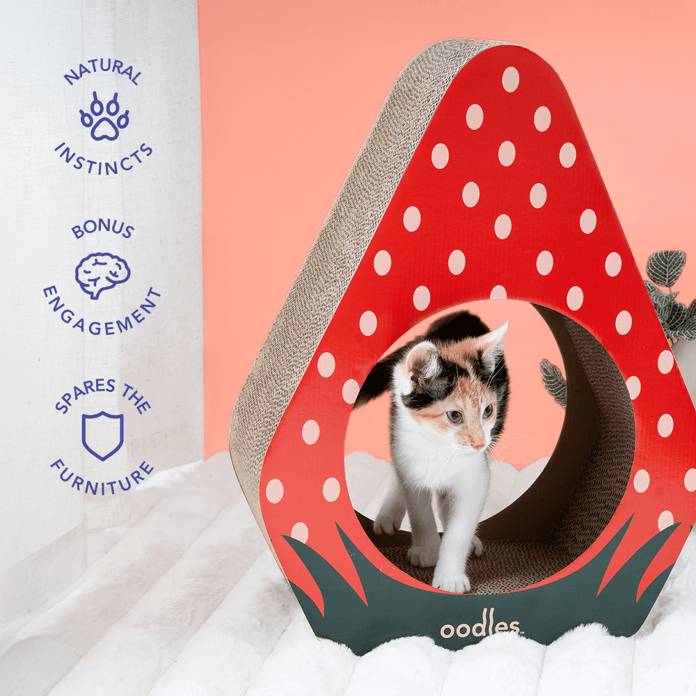 Oodles Durable Corrugated Cardboard Red Strawberry Cat Scratching Pad, O/S