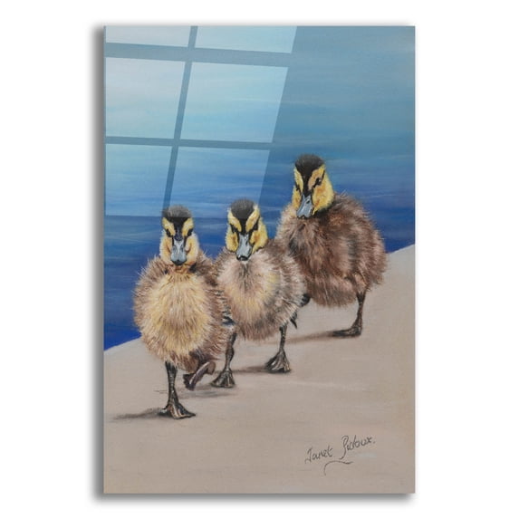 Epic Art 'Left Right, Left Right' by Janet Pidoux, Acrylic Glass Wall Art, 16"x24"