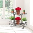 thumbnail image 6 of WBTER® Garden Cart Stand & Flower Pot Plant Holder Display Rack, 6 Tiers, Parisian Style - Perfect for Home, Garden, Patio (Black), 6 of 8