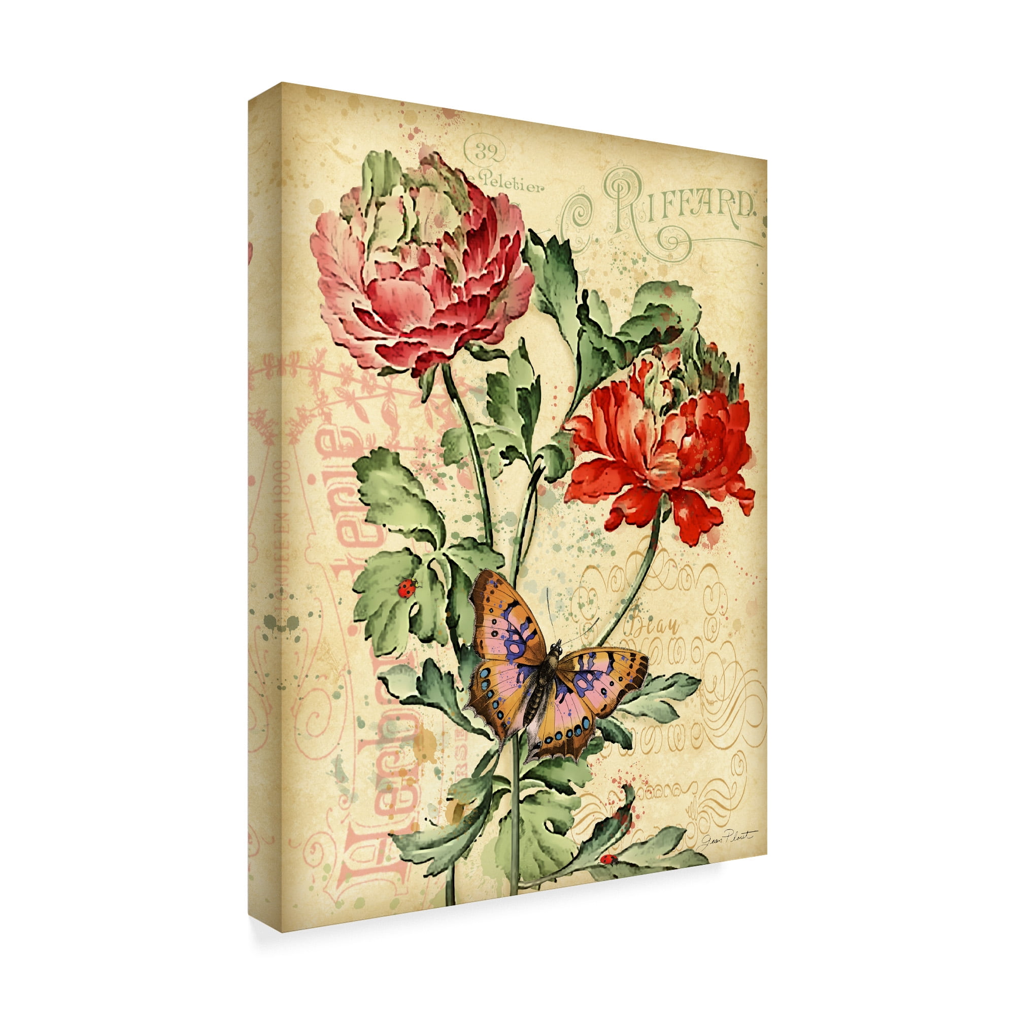 Trademark Fine Art 'French Florals 3' Canvas Art by Jean Plout