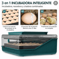 thumbnail image 2 of Incubadora De 25 Huevos Giro Automatico Con Ovoscopio Lcd, 2 of 3