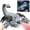 Grey, variant on Remote Control Scorpion Robot Toy, RC Scorpion with 2.4GHz Controller, Stunt Robot with Spray/Lights/Music, Scorpion Gift for Boys Girls, Halloween, Christmas, Toys for Party Prank