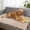 Beige, variant on Pet Calming Blanket Soft Faux Fur Dog Cat Blanket, Thick Shaggy Fuzzy Microfibe Throw Bed Couch Washable 22x14 Inch (Khaki)