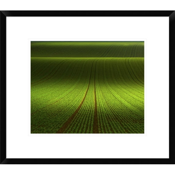 Global Gallery Franz Schumacher 'November Green' Framed Wall Art