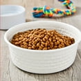 thumbnail image 2 of Vibrant Life Large Stainless Steel Embossed Dog Bowl, White Bones, 2 of 6