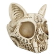 thumbnail image 4 of Paranormal Ouija Spirit Medium Cat Skull Ashtray Figurine Supernatural Occultist, 4 of 9