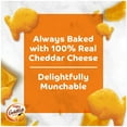 Goldfish Cheddar Cheese Crackers, TMA3 Baked Snack Crackers, 1 oz On