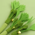 thumbnail image 5 of Realistic Celery Cat Chew Toy, Durable Felt Dental Teething Toy for Kittens & Aggressive Chewers, Interactive Catnip Toy for Indoor Play, 5 of 7