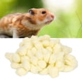 thumbnail image 3 of Relleno De Bolas De Algodón Para Animales Pequeños, Bola De Algodón Para Hámster Hecha A Mano En Invierno, Segura Para Hámster Sirio Para Chinchilla, 3 of 7
