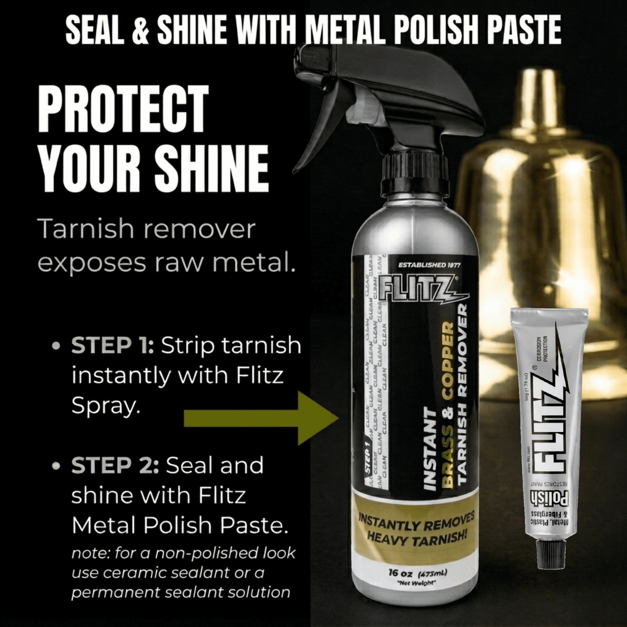 Flitz Instant Brass and Copper Tarnish Remover, Rust Remover Spray for Shine and Protection, 16 oz