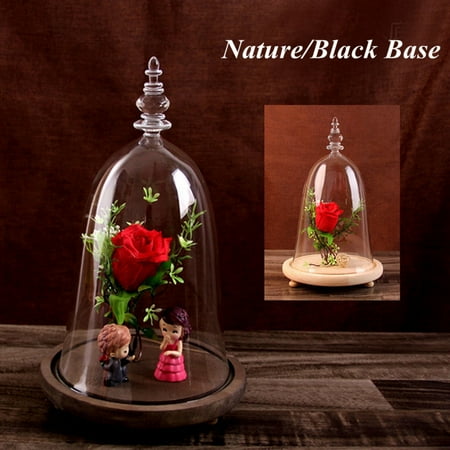Glass Block Night Light (Nature Black Wooden Base Glass Night Light Cloche Dome Display Decor Light for Living Room Bedroom Home)