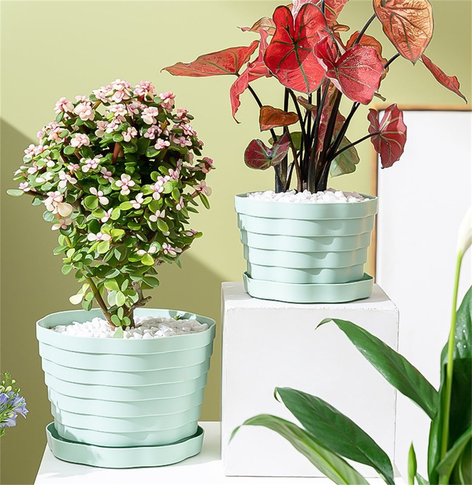 3 Pack Large Plastic Planters,Indoor Flower Plant Pots,Flower Seedlings Nursery Pot/Planter with Pallet, Plant Pots with Drainage Holes and Saucers,Plastic Flower Pots Seed Starting Pots for Plants