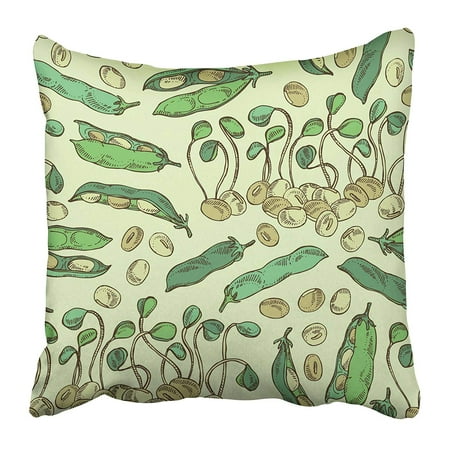Soybean Sprouts - ARHOME Green Agriculture with Soybean Sprouts Sprouted and Bean Color Cooking Draw Drawing Pillow Case Cushion Cover 20x20 inch