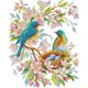 thumbnail image 1 of (DA710) Hilo Algodón Ecológico Bordado No Manchú 14CT 2 Hebras Impresión 28*34cm Kit Serie Punto Cruz Singing Bluebird (borde Gancho), 1 of 9