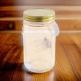 thumbnail image 3 of SPRING PP Material Lifelike Simulated Butterfly Jar Sturdy and Long lasting Suitable for Home or Table Decoration blue 1, 3 of 9