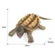 thumbnail image 3 of Figura de tortuga mordedora Hugo Juguete educativo para edades tempranas, 3 of 7
