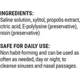 thumbnail image 2 of Beekeeper's Naturals Nasal Spray for Adults with Propolis, Xylitol & Saline, Clears Nasal Congestion, Moisturizes Sinus Canal, & Decongest Sinus Cavities, 1 fl oz, 2 of 7
