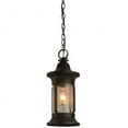 thumbnail image 3 of Meyda Tiffany 151877 Camp Uncas 8" Wide Mini Pendant - Wrought Iron, 3 of 5
