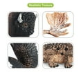 thumbnail image 5 of Volnau Safari Animal Figurines Toys 7PCS North America Figures Zoo Pack for Kids Decoration Gift, 5 of 10