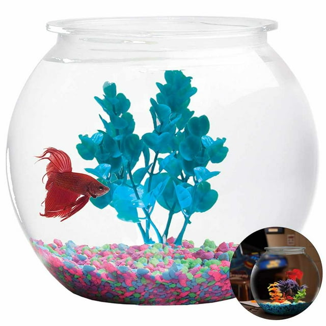 Bol à Poisson en Plastique Transparent Résistant aux Casses de 2,1 Gallons
