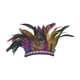 thumbnail image 1 of Diadema de plumas para fiesta, para presentaciones en el escenario, espectáculos de danza, juegos de rol Adultos coloridos, 1 of 8