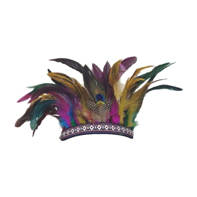 Diadema de plumas para fiesta, para presentaciones en el escenario, espectáculos de danza, juegos de rol Adultos coloridos