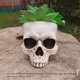 thumbnail image 2 of Outdoor Garden Decoration Halloween Skull Decoration Succulent Flower Pot Gothic Home Decoration, 2 of 5