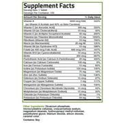 Bronson Therapeutic Formula Multi-Vitamin, 100 Tablets