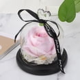 thumbnail image 3 of LED Night Light,Loving Heart Glass Cover Love Glass Cover Rose Flower Lamp Rose LED Night Light Proven Performance, 3 of 8